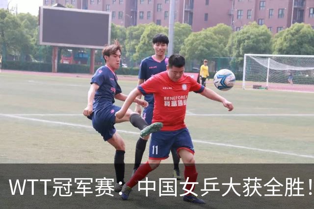 WTT冠军赛：中国女乒大获全胜！16强占6个席位，陈幸同剃对手光头